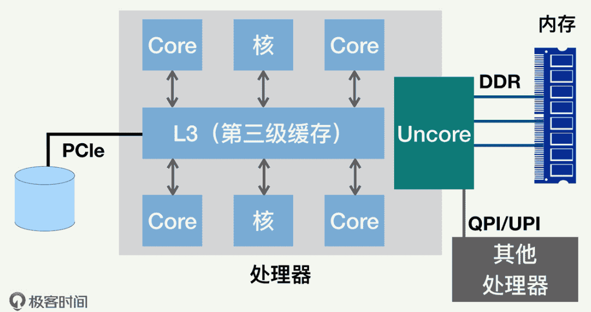 image-20241203114325360